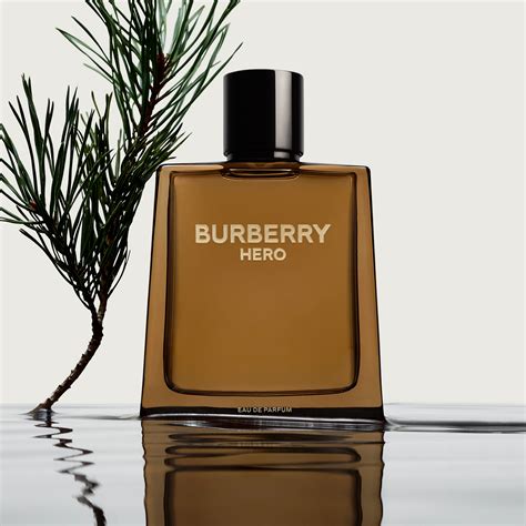 best burberry men's fragrance|burberry by for men cologne.